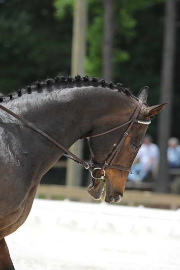 So8ths-5-4-12-Dressage-1272-TraeMeder-DirectFlight-DDeRosaPhoto