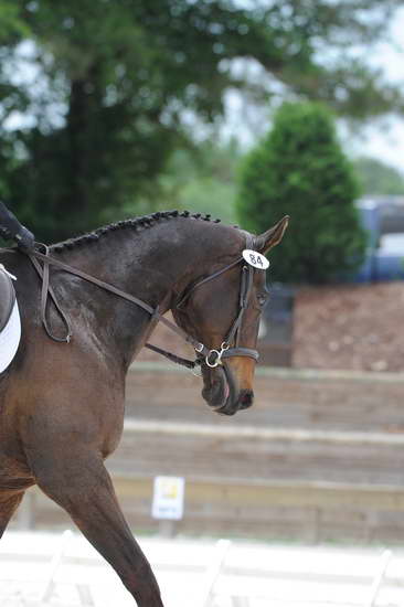 So8ths-5-4-12-Dressage-1293-SydneyParks-RunninAMuck-DDeRosaPhoto