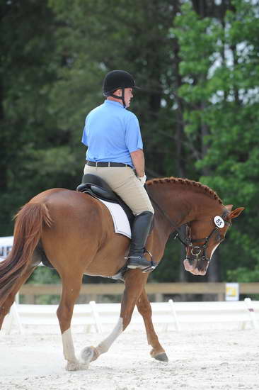 So8ths-5-4-12-Dressage-1334-MichaelLindsey-Hilife-DDeRosaPhoto