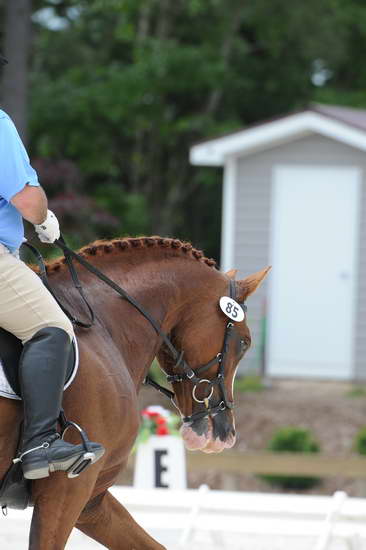 So8ths-5-4-12-Dressage-1341-MichaelLindsey-Hilife-DDeRosaPhoto