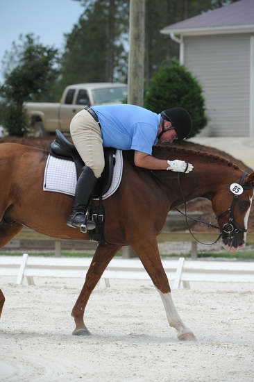 So8ths-5-4-12-Dressage-1352-MichaelLindsey-Hilife-DDeRosaPhoto