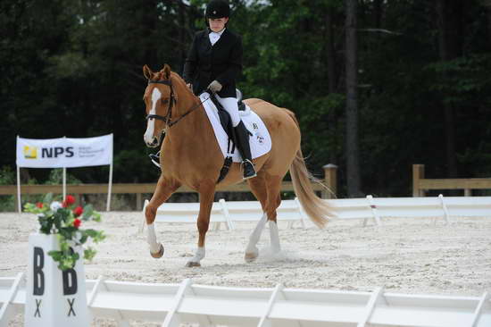 So8ths-5-4-12-Dressage-1367-SarahZimmer-MardiGras-DDeRosaPhoto