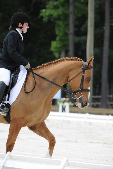 So8ths-5-4-12-Dressage-1368-SarahZimmer-MardiGras-DDeRosaPhoto