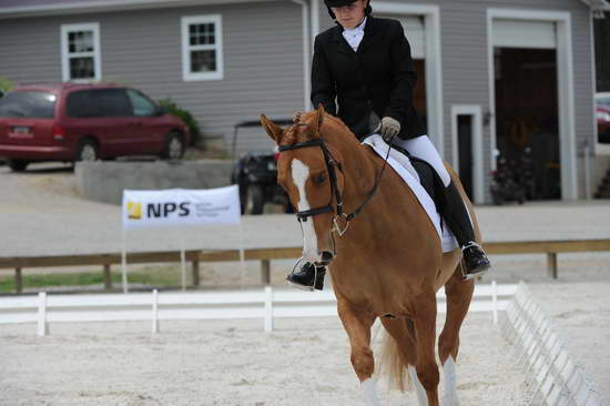 So8ths-5-4-12-Dressage-1373-SarahZimmer-MardiGras-DDeRosaPhoto