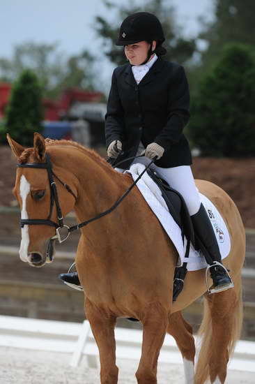 So8ths-5-4-12-Dressage-1375-SarahZimmer-MardiGras-DDeRosaPhoto