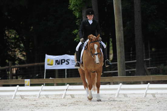 So8ths-5-4-12-Dressage-1378-SarahZimmer-MardiGras-DDeRosaPhoto