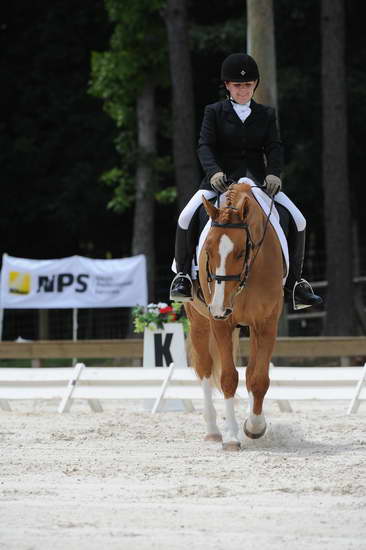 So8ths-5-4-12-Dressage-1379-SarahZimmer-MardiGras-DDeRosaPhoto