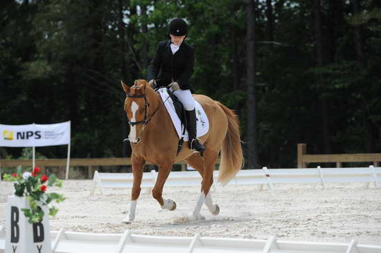 So8ths-5-4-12-Dressage-1384-SarahZimmer-MardiGras-DDeRosaPhoto