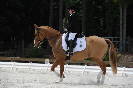 So8ths-5-4-12-Dressage-1388-SarahZimmer-MardiGras-DDeRosaPhoto