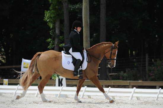 So8ths-5-4-12-Dressage-1391-SarahZimmer-MardiGras-DDeRosaPhoto