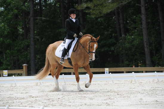 So8ths-5-4-12-Dressage-1392-SarahZimmer-MardiGras-DDeRosaPhoto