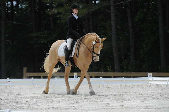 So8ths-5-4-12-Dressage-1397-JamieMiess-InTheZone-DDeRosaPhoto