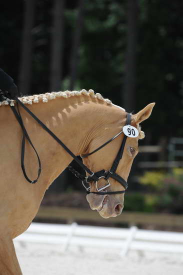 So8ths-5-4-12-Dressage-1401-JamieMiess-InTheZone-DDeRosaPhoto