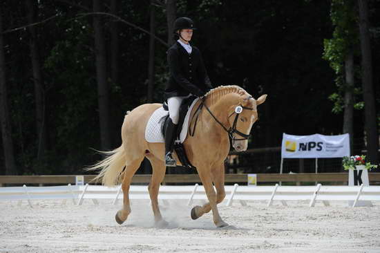 So8ths-5-4-12-Dressage-1402-JamieMiess-InTheZone-DDeRosaPhoto