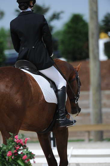 So8ths-5-4-12-Dressage-0876-KelseyBriggs-TheItalianJob-DDeRosaPhoto