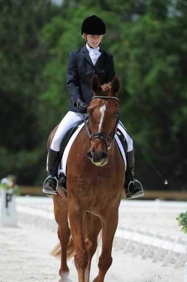 So8ths-5-4-12-Dressage-0919-KristinNeill-BigBonesBailey-DDeRosaPhoto