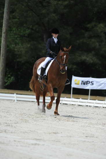 So8ths-5-4-12-Dressage-0925-KristinNeill-BigBonesBailey-DDeRosaPhoto