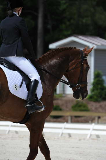 So8ths-5-4-12-Dressage-0936-KristinNeill-BigBonesBailey-DDeRosaPhoto