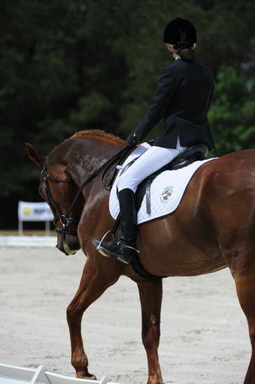 So8ths-5-4-12-Dressage-0939-KristinNeill-BigBonesBailey-DDeRosaPhoto