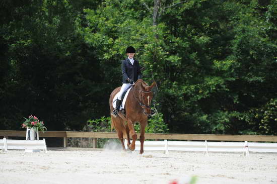 So8ths-5-4-12-Dressage-0944-KristinNeill-BigBonesBailey-DDeRosaPhoto