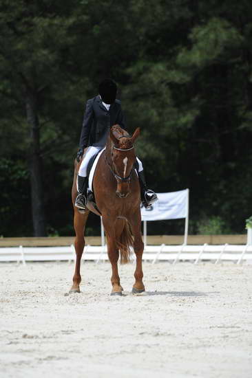 So8ths-5-4-12-Dressage-0946-KristinNeill-BigBonesBailey-DDeRosaPhoto