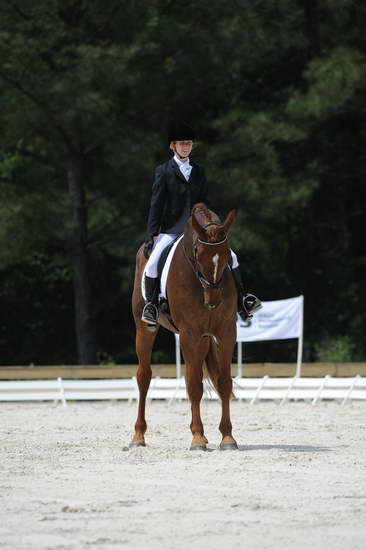 So8ths-5-4-12-Dressage-0947-KristinNeill-BigBonesBailey-DDeRosaPhoto