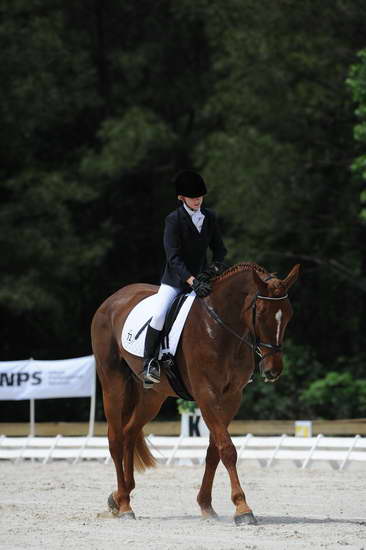 So8ths-5-4-12-Dressage-0948-KristinNeill-BigBonesBailey-DDeRosaPhoto