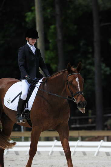 So8ths-5-4-12-Dressage-0949-KristinNeill-BigBonesBailey-DDeRosaPhoto