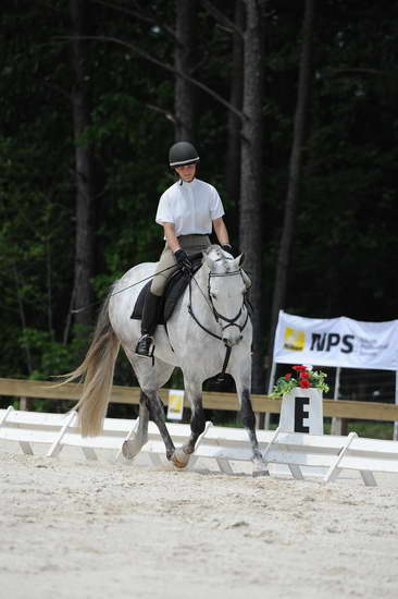 So8ths-5-4-12-Dressage-0956-MicheleLobsinger-GlenlarasPride-DDeRosaPhoto