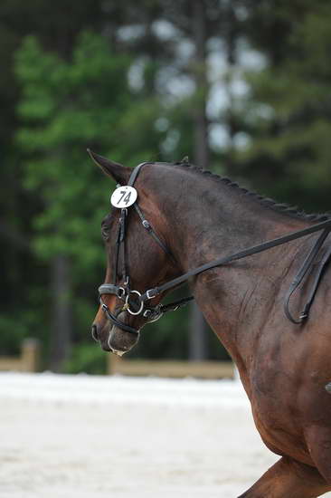 So8ths-5-4-12-Dressage-0983-JamesBaker-Wings-DDeRosaPhoto