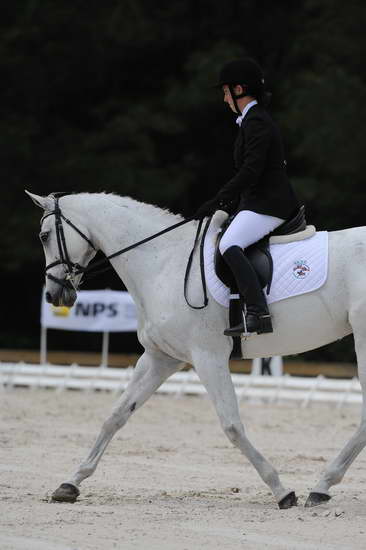 So8ths-5-4-12-Dressage-1003-ElizabethGoldstein-DaddysHatTrick-DDeRosaPhoto