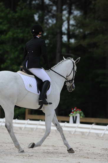 So8ths-5-4-12-Dressage-1009-ElizabethGoldstein-DaddysHatTrick-DDeRosaPhoto