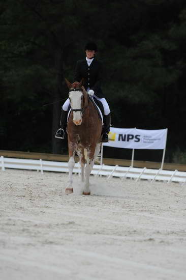 So8ths-5-4-12-Dressage-1030-BrianaTimmerman-ASplashofHenry-DDeRosaPhoto