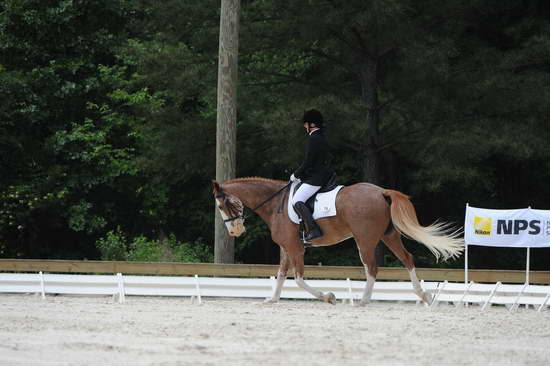 So8ths-5-4-12-Dressage-1034-BrianaTimmerman-ASplashofHenry-DDeRosaPhoto