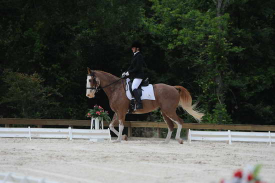 So8ths-5-4-12-Dressage-1035-BrianaTimmerman-ASplashofHenry-DDeRosaPhoto