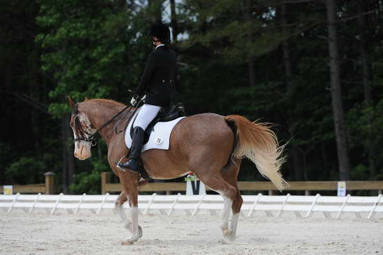 So8ths-5-4-12-Dressage-1038-BrianaTimmerman-ASplashofHenry-DDeRosaPhoto