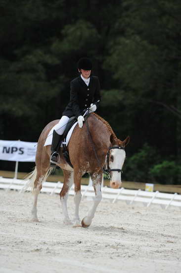 So8ths-5-4-12-Dressage-1048-BrianaTimmerman-ASplashofHenry-DDeRosaPhoto