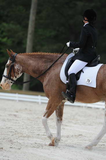 So8ths-5-4-12-Dressage-1049-BrianaTimmerman-ASplashofHenry-DDeRosaPhoto