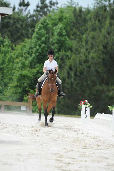 So8ths-5-4-12-Dressage-1077-BeckyBrown-TotallyBroke-DDeRosaPhoto