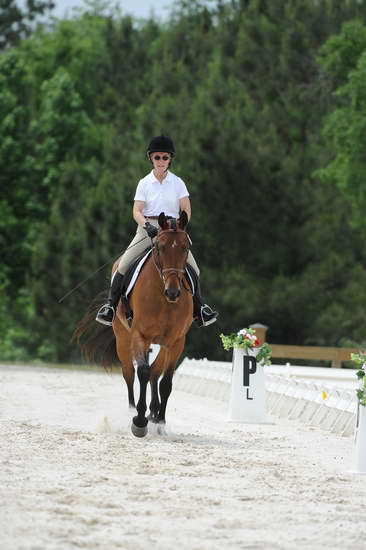 So8ths-5-4-12-Dressage-1078-BeckyBrown-TotallyBroke-DDeRosaPhoto