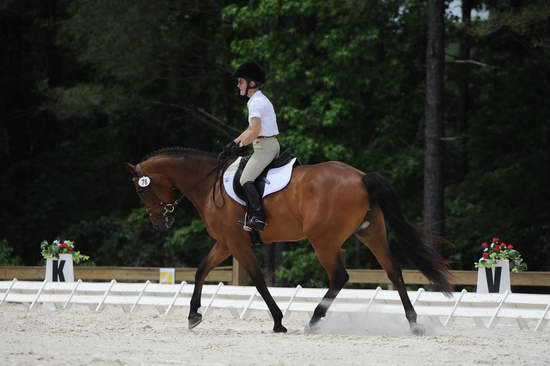 So8ths-5-4-12-Dressage-1095-BeckyBrown-TotallyBroke-DDeRosaPhoto