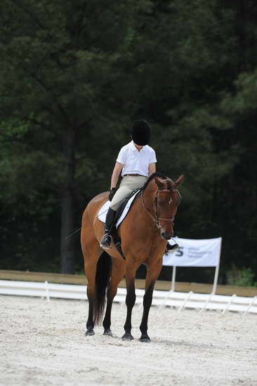 So8ths-5-4-12-Dressage-1106-BeckyBrown-TotallyBroke-DDeRosaPhoto