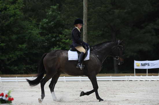 So8ths-5-4-12-Dressage-1127-SarahMorton-Womble-DDeRosaPhoto