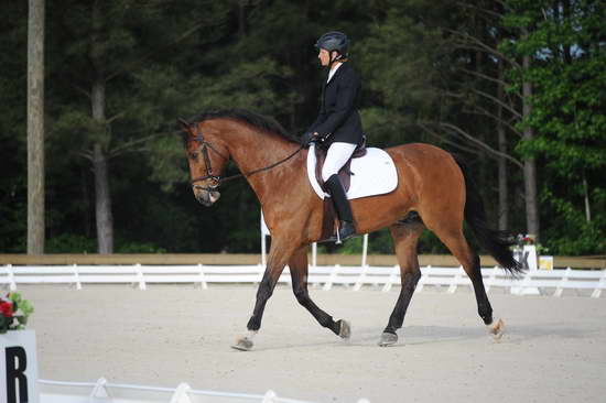 So8ths-5-4-12-Dressage-0314-BevWarner-Arnold-DDeRosaPhoto