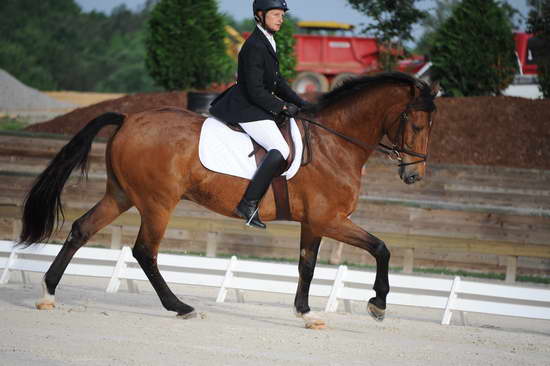 So8ths-5-4-12-Dressage-0319-BevWarner-Arnold-DDeRosaPhoto