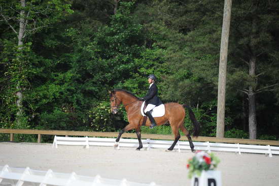 So8ths-5-4-12-Dressage-0333-BevWarner-Arnold-DDeRosaPhoto