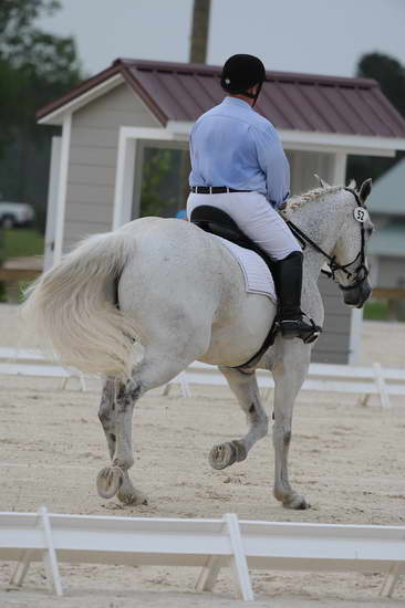 So8ths-5-4-12-Dressage-0373-MichaelLindsey-OnlyToYou-DDeRosaPhoto