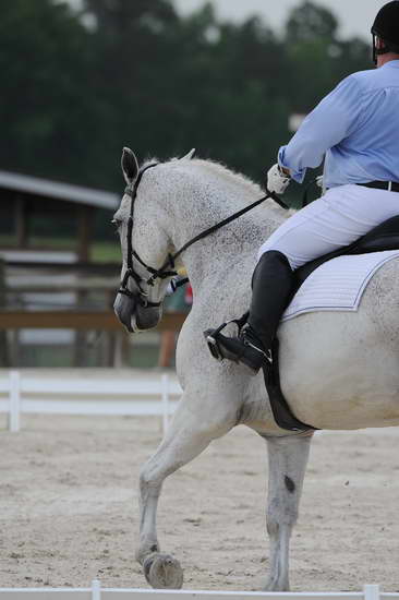 So8ths-5-4-12-Dressage-0377-MichaelLindsey-OnlyToYou-DDeRosaPhoto