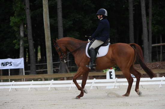 So8ths-5-4-12-Dressage-0406-KerryTracey-BourbonGingerbear-DDeRosaPhoto