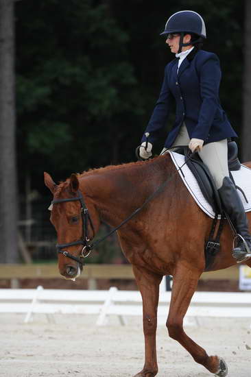 So8ths-5-4-12-Dressage-0408-KerryTracey-BourbonGingerbear-DDeRosaPhoto